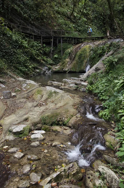 Soçi'de Shahe nehri yakınındaki şelale