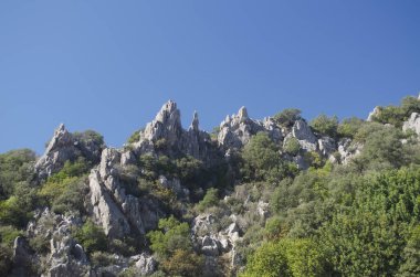 Dağlar ile iğne yapraklı orman büyümüş