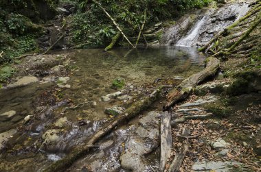 Soçi'de Shahe nehri yakınındaki şelale