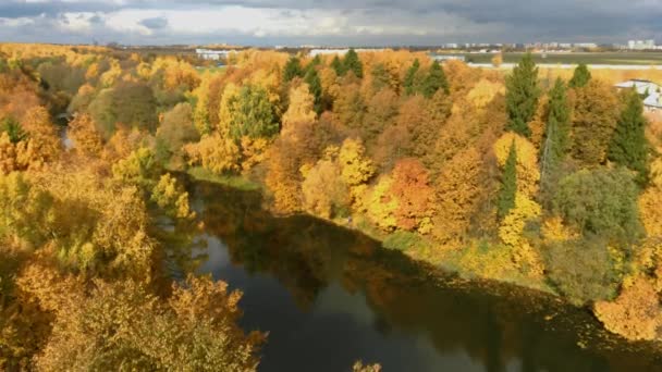 モスクワ近郊のオスタフィエヴォ公園の紅葉 — ストック動画