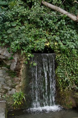 Alupka (Kırım) parkında dekoratif şelale)