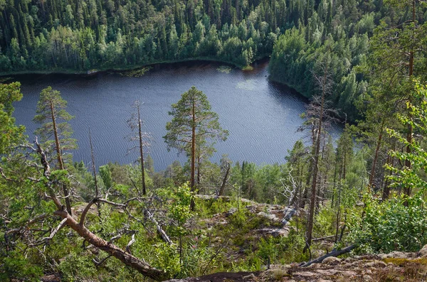 Vild Skog Klipporna Karelen Vid Nedre Pulongsjön — Stockfoto