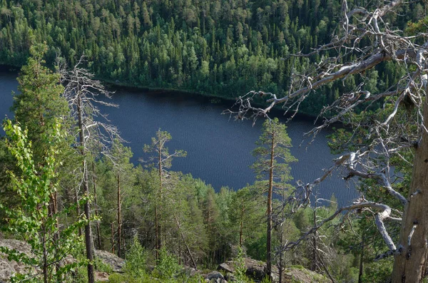 Vild Skog Klipporna Karelen Vid Nedre Pulongsjön — Stockfoto