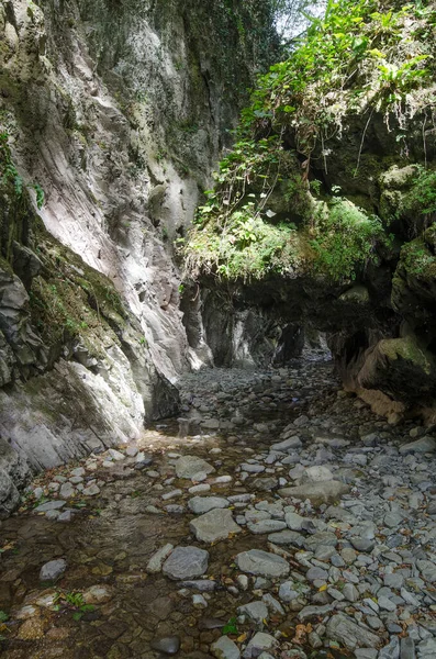 Gorge Mamed Gap Nelle Montagne Del Caucaso Vicino Lazarevskoye — Foto Stock