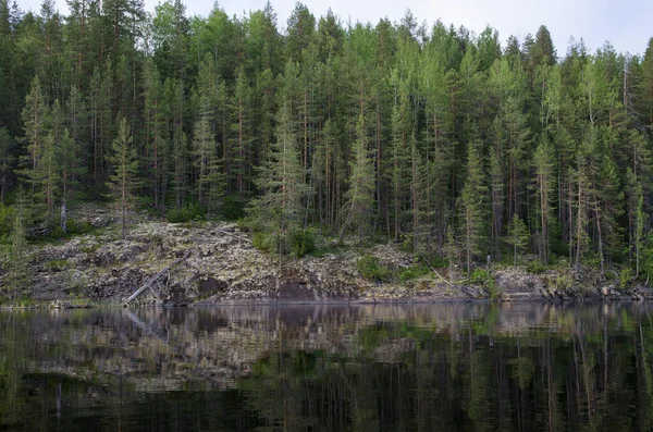 Bosque Salvaje Las Rocas Karelia Orillas Del Lago Pulong Inferior —  Fotos de Stock