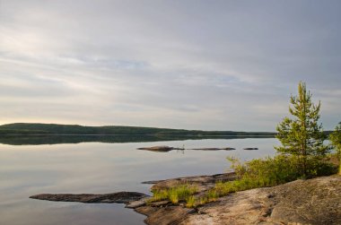 Aşağı Pulong Gölü kıyısındaki Karelia 'da kayalıklarda vahşi orman