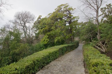 Alupka 'daki Vorontsov Parkı (Kırım)