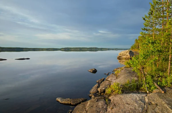 Aşağı Pulong Gölü kıyısındaki Karelia 'da kayalıklarda vahşi orman