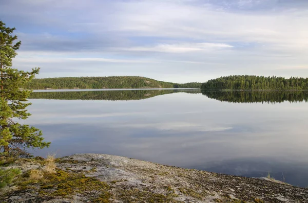 Yukarı Pulong Gölü kıyısındaki Karelia 'daki kayalıklarda vahşi orman.