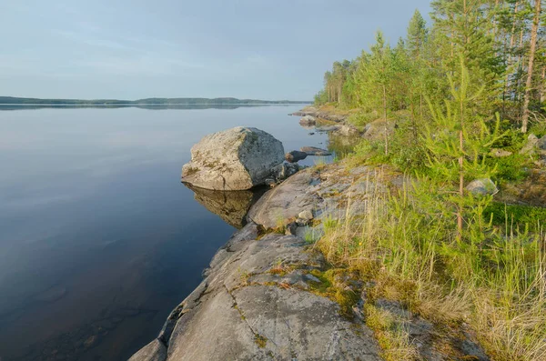 Wild Bos Rotsen Karelië Aan Oevers Van Upper Pulongskoye Lake — Stockfoto