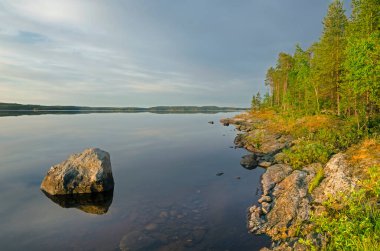 Yukarı Pulongskoye Gölü kıyısındaki Karelia kayalıklarında vahşi orman.