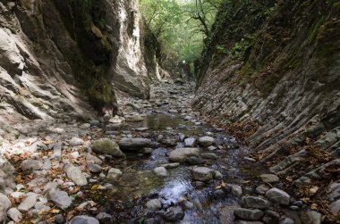 Lazarevskoye yakınlarındaki Kafkasya dağlarında Mamed Geçidi.