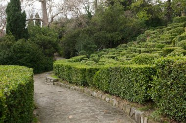 Alupka (Kırım) şehrinin parkında.)