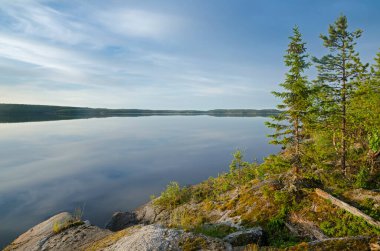 Yukarı Pulongskoye Gölü kıyısındaki Karelia kayalıklarında vahşi orman.