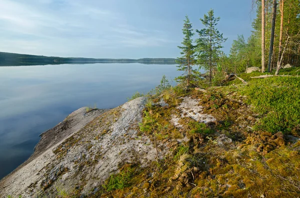 Wilder Wald Auf Felsen Karelien Ufer Des Oberen Pulongskoje Sees — Stockfoto
