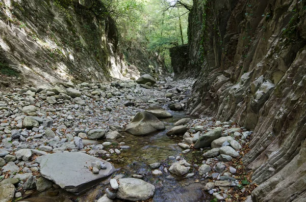 Lazarevskoye yakınlarındaki Kafkasya dağlarında Mamed Geçidi.