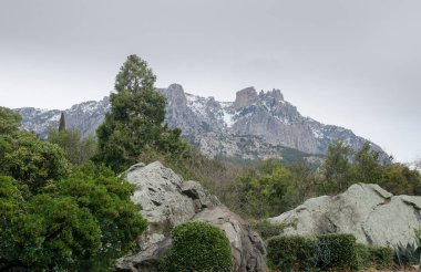Dağ sırasının karla kaplı zirveleri kozalaklı ormanlarla kaplıydı.