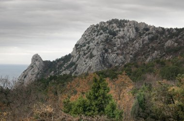 Simeiz 'deki küçük dağ (Kırım), kedi şeklinde.