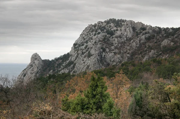 Simeiz 'deki küçük dağ (Kırım), kedi şeklinde.