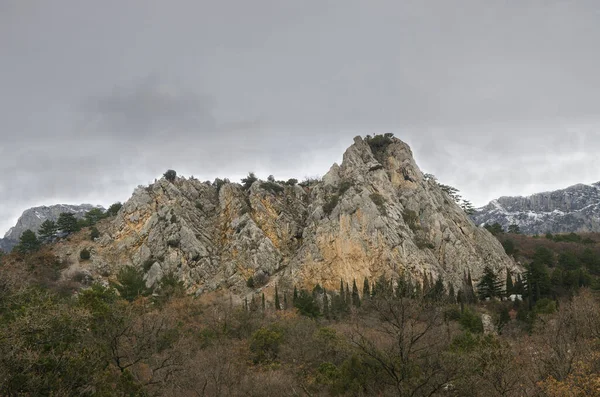 Засніжені Вершини Гірського Хребта Вирощені Хвойними Лісами — стокове фото