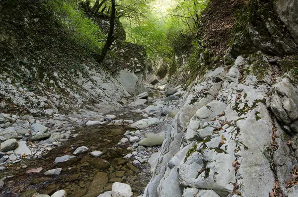 Gorge Mamed Lacuna Nas Montanhas Cáucaso Perto Lazarevskoye — Fotografia de Stock