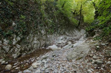 Lazarevskoye yakınlarındaki Kafkasya dağlarında Mamed Geçidi.