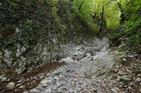 Schlucht Mamed Lücke Kaukasus Gebirge Bei Lazarevskoye — Stockfoto