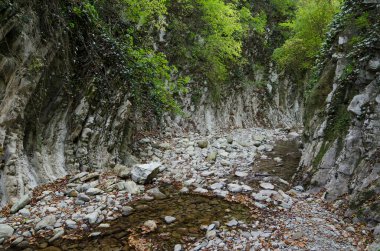 Lazarevskoye yakınlarındaki Kafkasya dağlarında Mamed Geçidi.