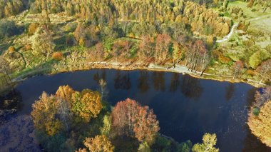 Serednikovo köyü yakınlarında sarı sonbahar yapraklı ağaçlarla çevrili bir Barsky göleti.