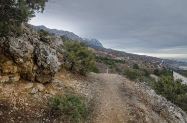 Kırım 'da kozalaklı ormanlarla kaplı bir sırtın tepeleri ve yamaçları