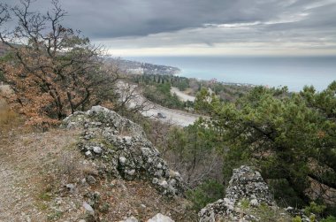 Kırım 'da kozalaklı ormanlarla kaplı bir sırtın tepeleri ve yamaçları