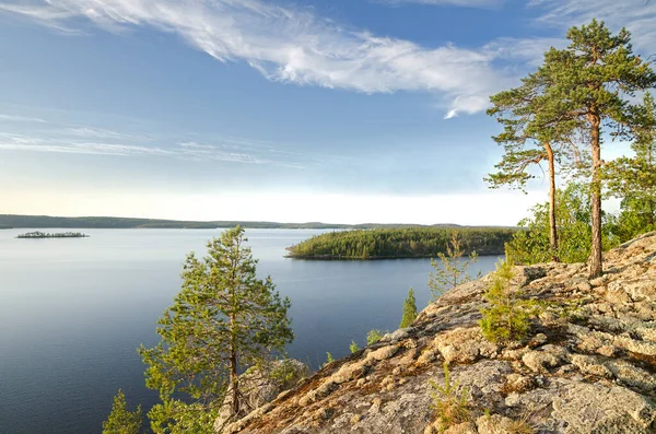 Wild Bos Rotsen Karelië Aan Oevers Van Upper Pulongskoye Lake — Stockfoto