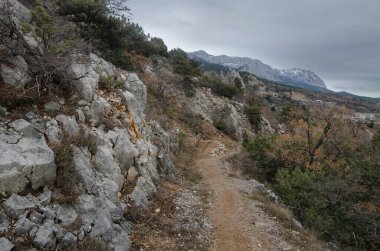 Kırım 'da kozalaklı ormanlarla kaplı bir sırtın tepeleri ve yamaçları