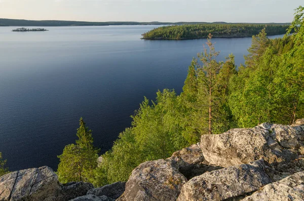 Dziki Las Skałach Karelia Brzegu Jeziora Górnego Pulongskoye — Zdjęcie stockowe