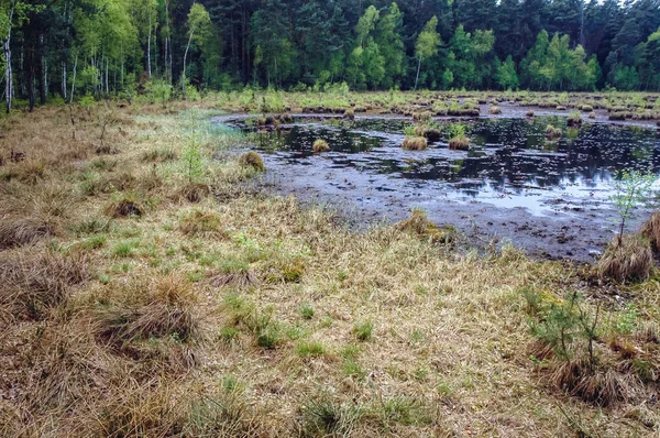 Área Protegida Bug Landscape Park Río Bug Voivodato Masoviano Polonia — Foto de Stock