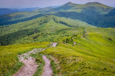 Aerial view from trail on Wetlina Meadows, Bieszczady Mountains in Poland clipart