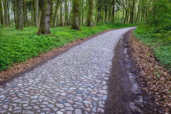 Cobblestones Carretera Pequeño Pueblo Drezewo Región Pomerania Occidental Polonia — Foto de Stock