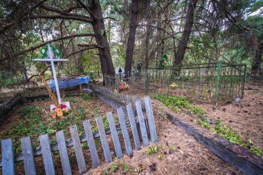 Cemetery in Zymovyshche ghost village of Chernobyl Exclusion Zone, Ukraine clipart