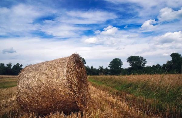 Balle Paille Sur Champ Voïvodie Mazovie Pologne — Photo