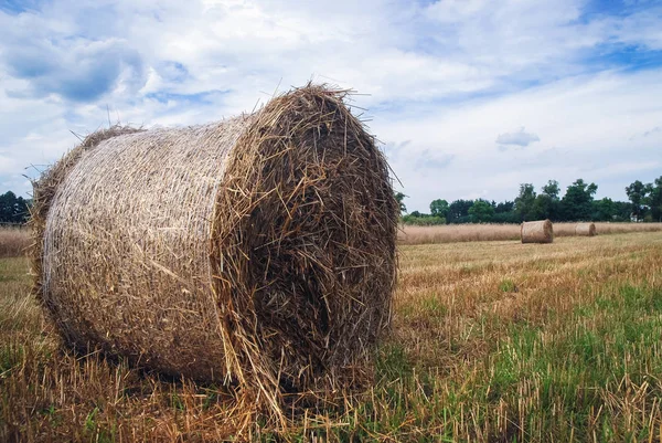 Balle Paille Sur Champ Voïvodie Mazovie Pologne — Photo