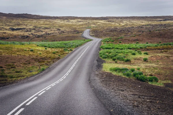 Camino Reykjanes Geoparque Situado Península Reykjanes Islandia —  Fotos de Stock