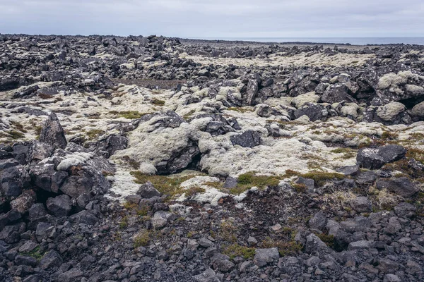 Planície Lava Coberta Com Musgo Visto Uma Rota Número 425 — Fotografia de Stock