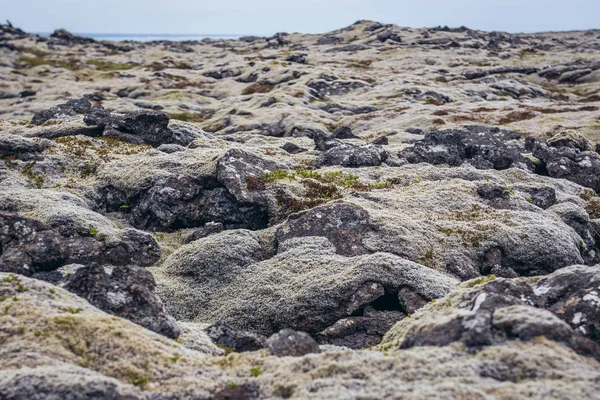 在冰岛 Reykjanes 半岛的北大西洋沿岸425号航线上 布满苔藓的熔岩平原 — 图库照片