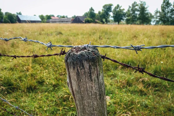 Barbed Wire Fence Meadow Masovian Voivodeship Poland — Stock Photo, Image