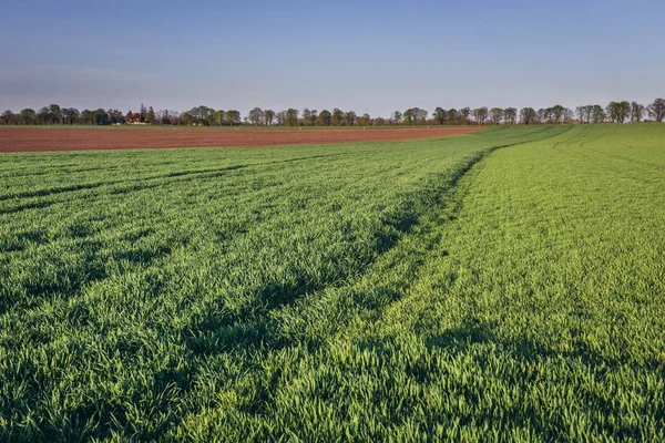 Rural Landscape Rabensburg Village Austria — Stock Photo, Image