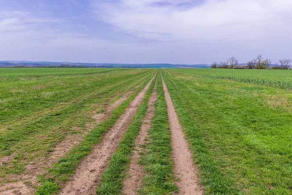 Злітно Посадкової Смуги Аеропорту Поле Naklo Пагорбі Біля Milotice Моравії — стокове фото