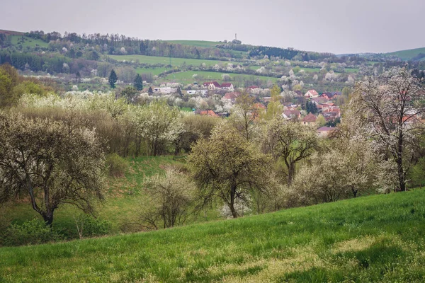 Breznice Zlinsky と地区 チェコ共和国の小さな村の上の丘から空撮 — ストック写真