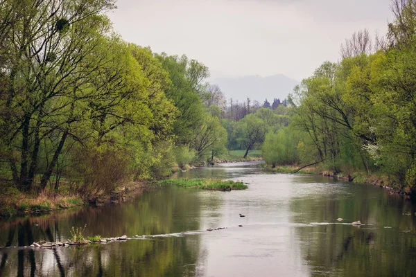 Río Ostravice Przno Pequeña Ciudad República Checa — Foto de Stock