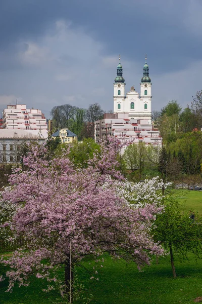 Besuch Der Jungfräulichen Marienkirche Der Stadt Frydek Mistek Mährisch Schlesische — Stockfoto