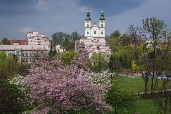 Návštěvnosti Kostela Panny Marie Frýdku Místku Město Moravskoslezský Region České — Stock fotografie